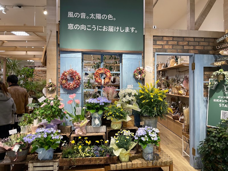 IN NATURAL 富士見店