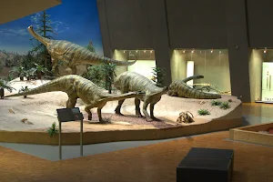 State Museum of Natural History Stuttgart image