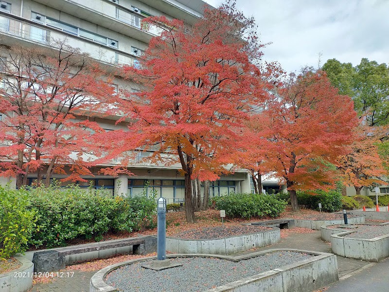 京都大学 吉田国際交流会館