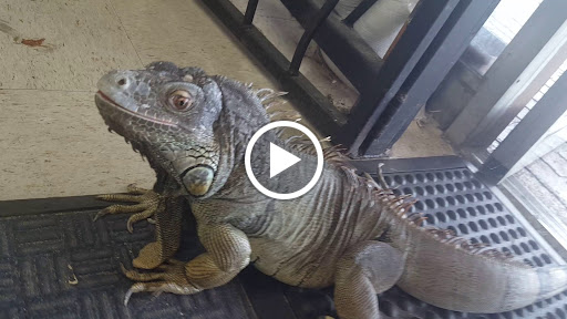 Grocery Store «Bravo Supermarkets», reviews and photos, 2921 S Orlando Dr, Sanford, FL 32773, USA