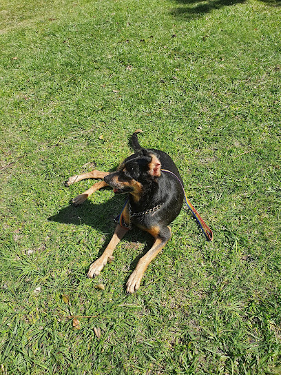 Veterinaria Clínica de Pequeños Animales en Santa Fe