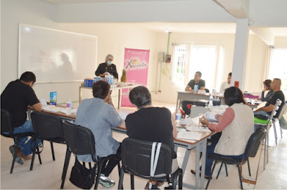 Xacinto Ice Cream Master (Cursos de helados y paletas mexicanas) portada