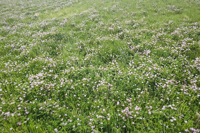 南出島児童公園