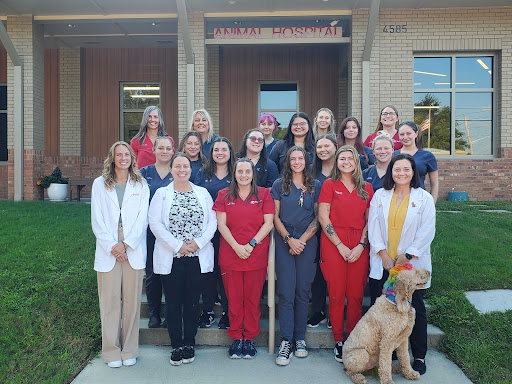 Animal Hospital of Pea Ridge image