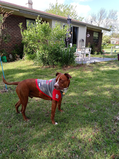 Pet Supply Store «PetSmart», reviews and photos, 13927 New Halls Ferry Road, Florissant, MO 63033, USA