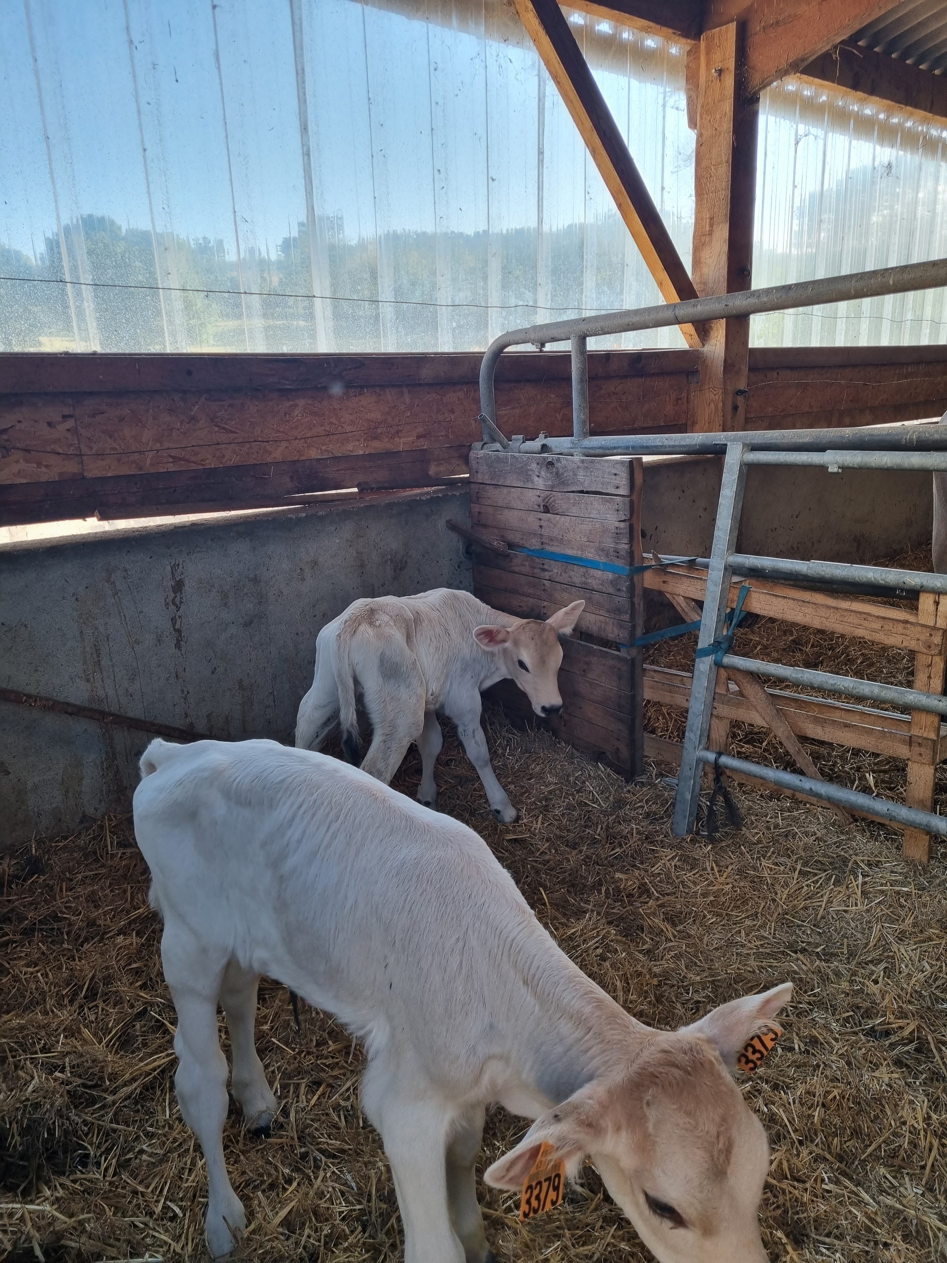 Photo n° 3 de l'avis de Ludivine.u fait le 10/09/2023 à 17:25