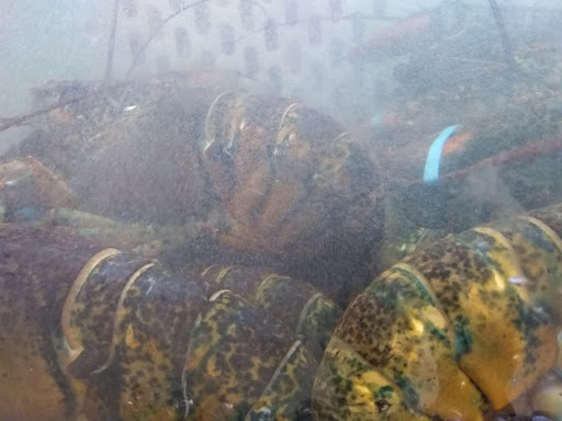 Asian Grocery Store «Kim Nhung Superfood», reviews and photos, 30925 Dequindre Rd, Madison Heights, MI 48071, USA