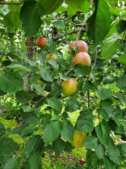 Bryson's Apple Orchard