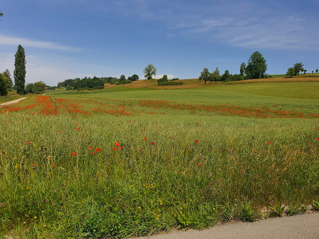 Im Lindhof 18, 8617 Mönchaltorf, Schweiz