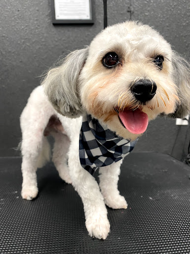 Pet Supply Store «Big Tex Feed & Pet Supply», reviews and photos, 7102 Cullen Blvd, Houston, TX 77021, USA