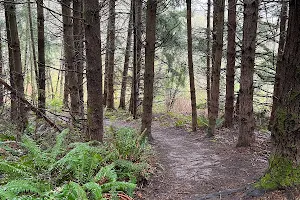 Judd Creek Loop Trail image