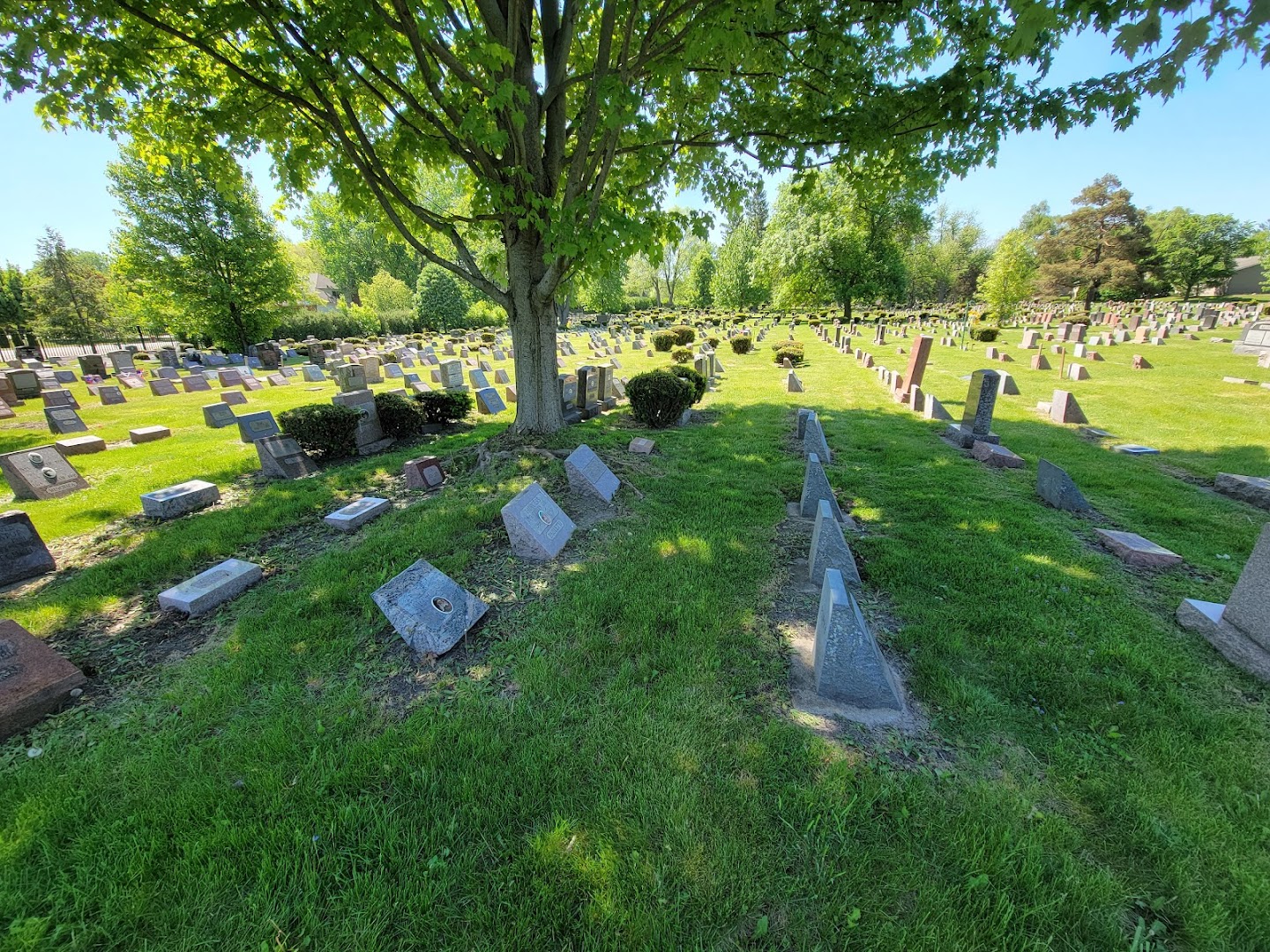 Hinsdale Animal Cemetery - Trusted Journey