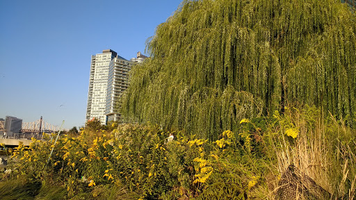 Park «Gantry Plaza State Park», reviews and photos, 4-09 47th Rd, Long Island City, NY 10007, USA