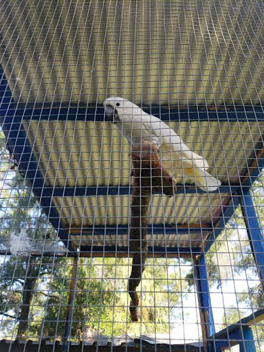 Animal Rescue Service «Nanny’s Educational Zoo And Rescue», reviews and photos, 1139 Livingston Rd, Lutz, FL 33559, USA