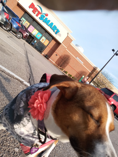 Pet Supply Store «PetSmart», reviews and photos, 828 Arnold Commons Dr, Arnold, MO 63010, USA