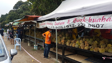 Durian Mantin Murah