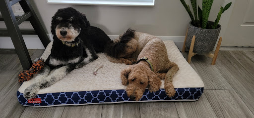 Pet Supply Store «Lil Rascals», reviews and photos, 10035 Gulf Center Dr #105, Fort Myers, FL 33913, USA