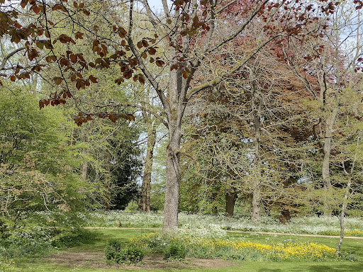 Convenience Store «Walgreens», reviews and photos, 1802 Main St, Chester, MD 21619, USA