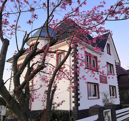 Extérieur hôtels Villa Kopp - Das Gästehaus 74746 Höpfingen