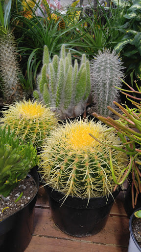 Home Improvement Store «The Home Depot», reviews and photos, 111 Universal Dr N, North Haven, CT 06473, USA