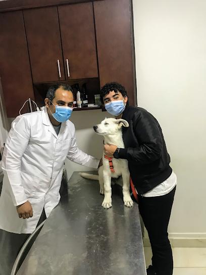 Dr Abdelwahab Animal Clinic