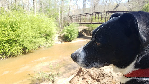 Park «East Cobb Park», reviews and photos, 3322 Roswell Rd, Marietta, GA 30068, USA