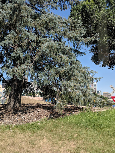 Park «Fishback Park», reviews and photos, 818 Water St, Denver, CO 80211, USA