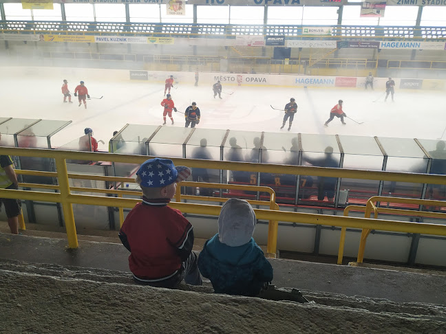 https://www.hcslezan.cz/