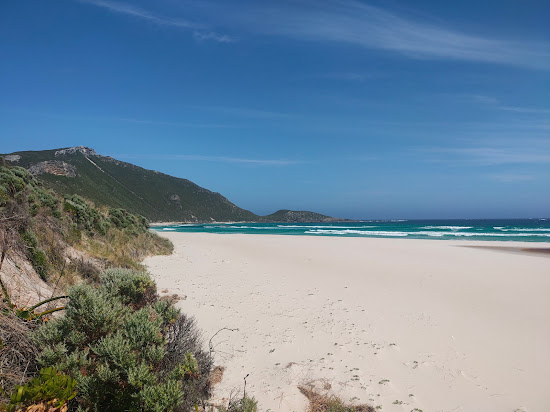 Conspicuous Cliff Beach