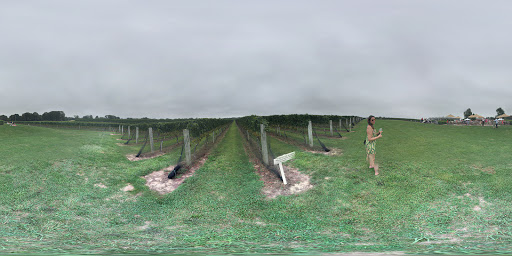 Vineyard «Wölffer Estate Vineyard», reviews and photos, 139 Sagg Rd, Sagaponack, NY 11962, USA