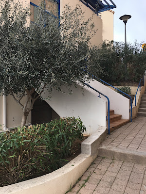 Dr Romain RICHY à Puget-sur-Argens