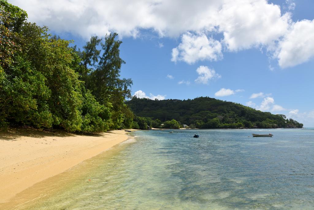 Photo de Maya Beach - endroit populaire parmi les connaisseurs de la détente