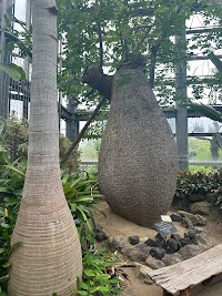ロータスガーデン