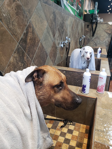 Pet Supply Store «Pet Valu», reviews and photos, 9 Durant Ave, Bethel, CT 06801, USA