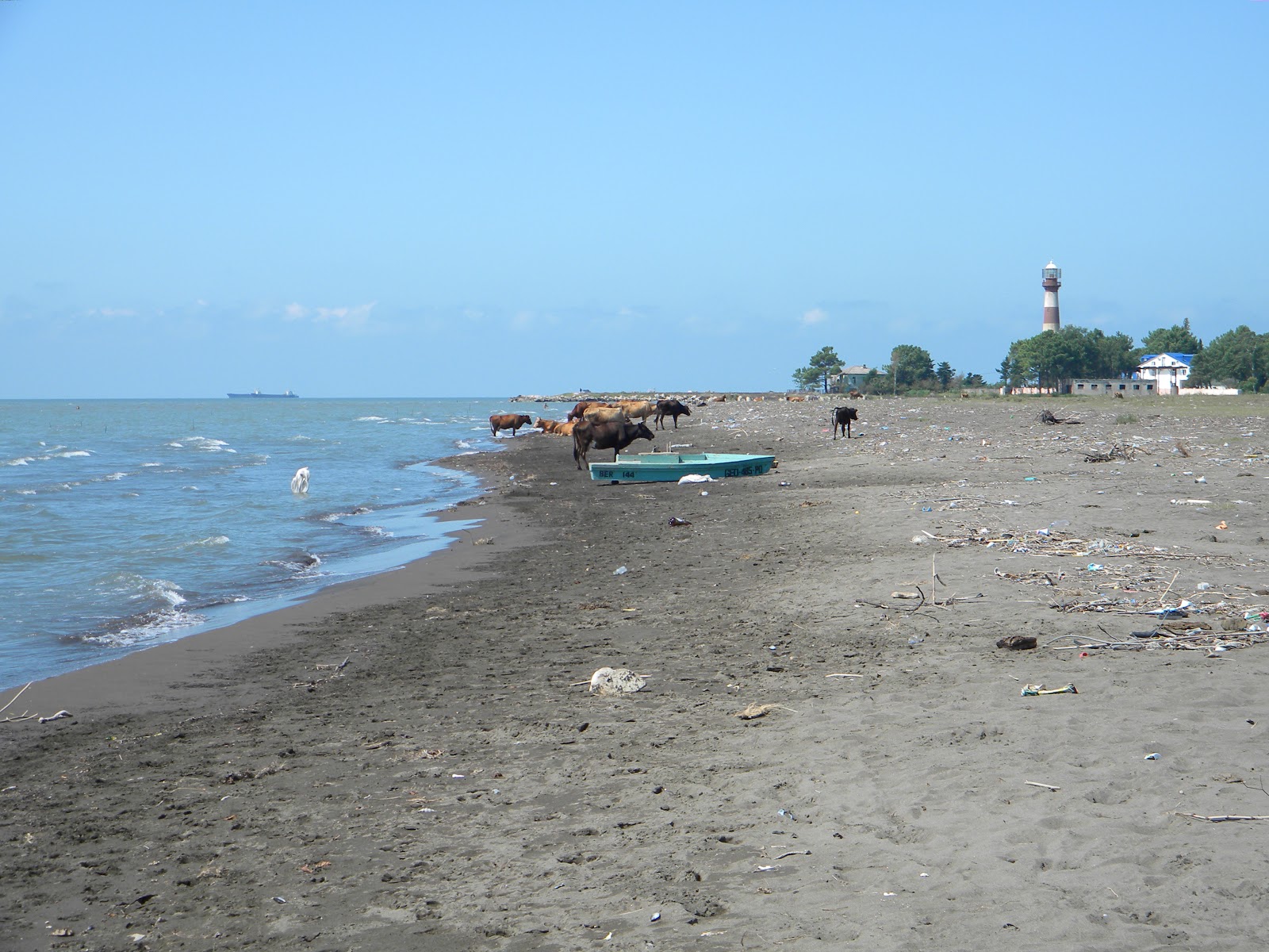 Poti beach的照片 带有碧绿色纯水表面