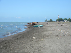 Poti beach'in fotoğrafı düz ve uzun ile birlikte