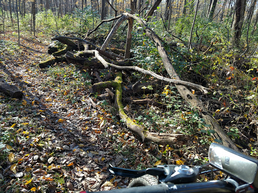 Park «Mather Woods Forest Preserve», reviews and photos, 25032 W Renwick Rd, Plainfield, IL 60544, USA