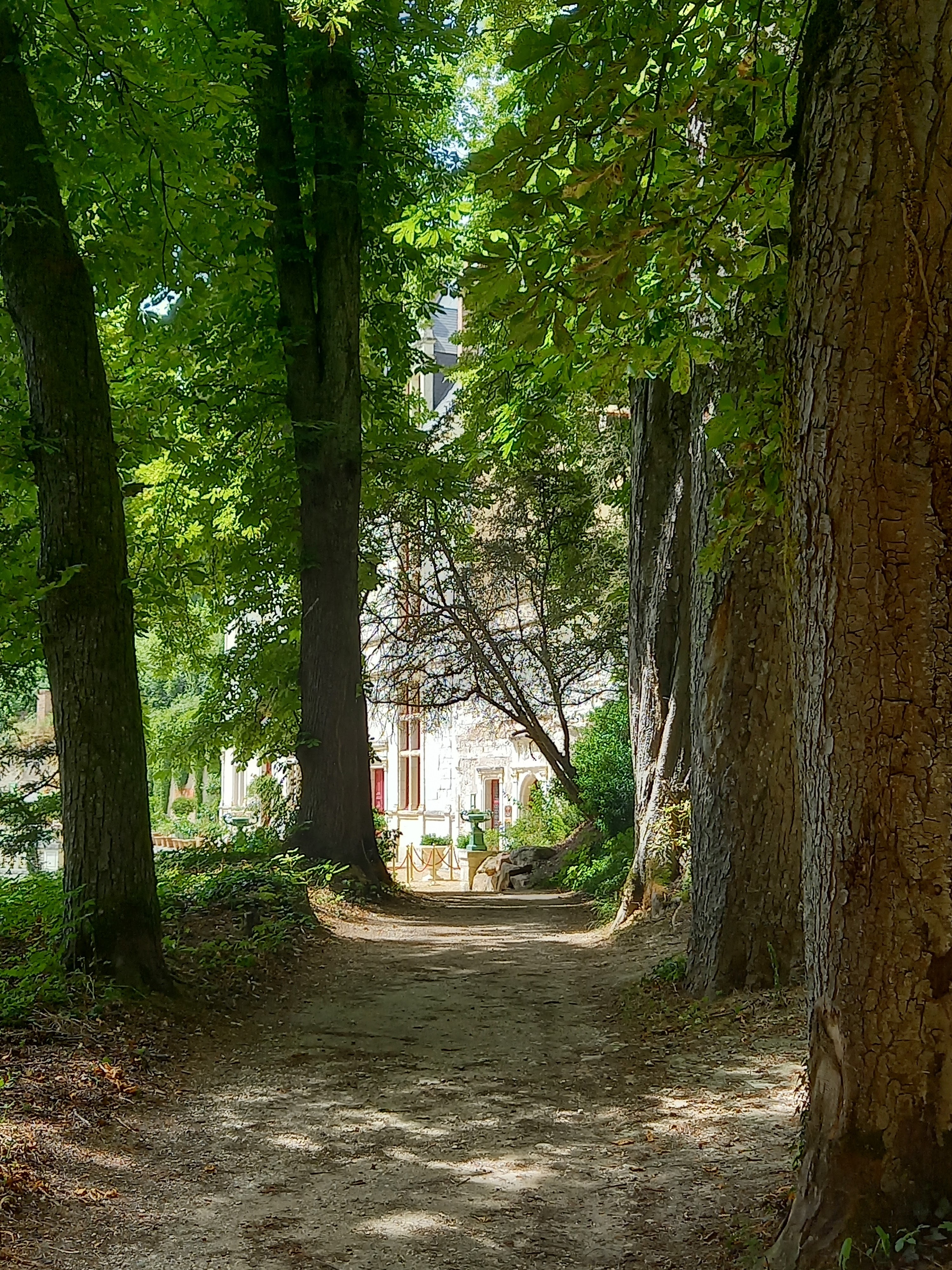 Photo n° 18 de l'avis de Dominique.h fait le 30/06/2022 à 14:56