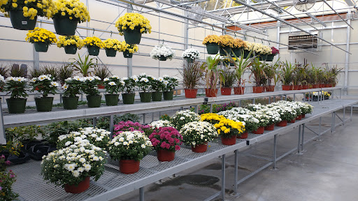 Produce Market «E Draghi & Son Farm Stand», reviews and photos, 86 Main St, South Glastonbury, CT 06073, USA