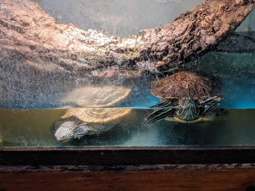 Pet Supply Store «The Animal Connection», reviews and photos, 2550 2550 Judah St & 31st Ave, San Francisco, CA 94122, USA