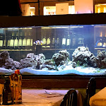 Photo n°25 de l'avis de Maria.g fait le 16/01/2020 à 20:45 sur le  San Matteo Church Ristorante Pizzeria à Verona