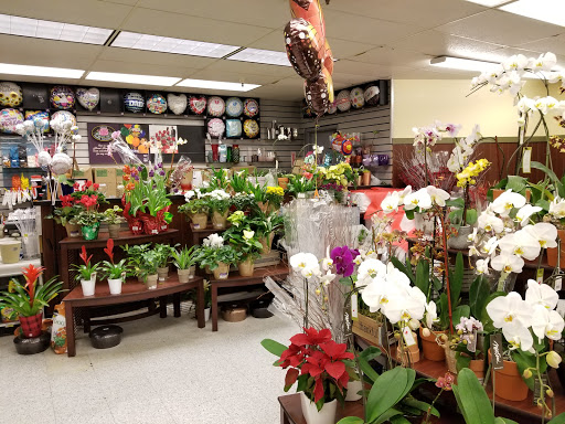 Grocery Store «Safeway», reviews and photos, 1421 Tara Hills Dr, Pinole, CA 94564, USA