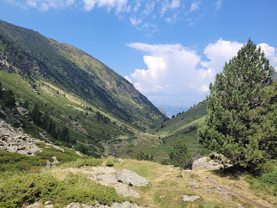 Reserva natural de la vall d'Eina à Eyne