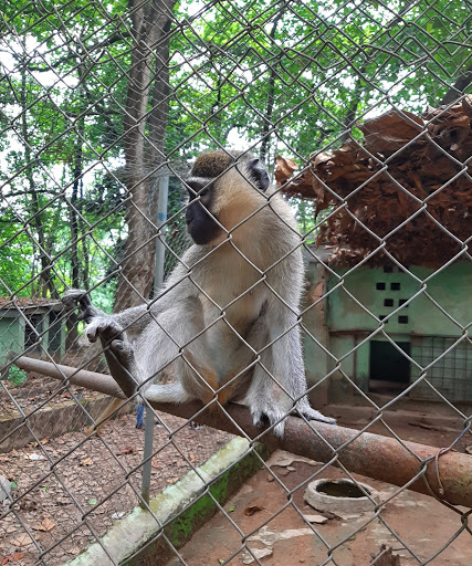 Agodi Gardens, Secretariat Rd, Mokola Hill, Ibadan, Nigeria, Zoo, state Oyo