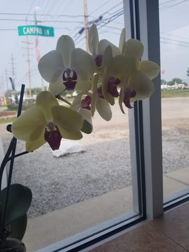 Winery «Superior Lakes Hand Crafted Mead and Wine», reviews and photos, 36285 Jefferson Ave, Harrison Charter Township, MI 48045, USA