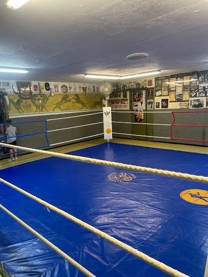 Jerusalem Boxing Club - Rabbi Hisda St, Jerusalem, Israel