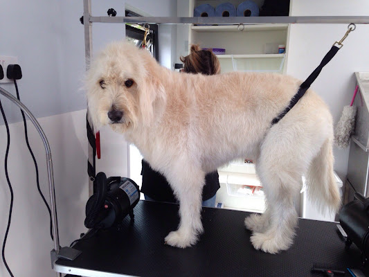 The Grooming Room @ Mearns Canine Lodge