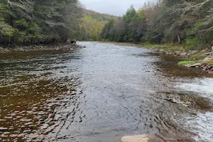 Loyalsock Creek image