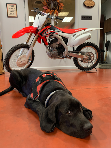 Motorcycle Dealer «Lancaster Honda», reviews and photos, 2350 Dairy Rd, Lancaster, PA 17601, USA