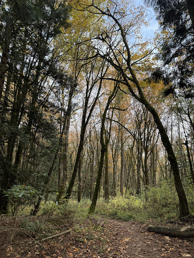 River View Natural Area Trailhead